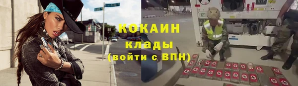 твердый Майский