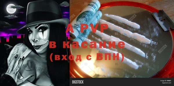 твердый Майский