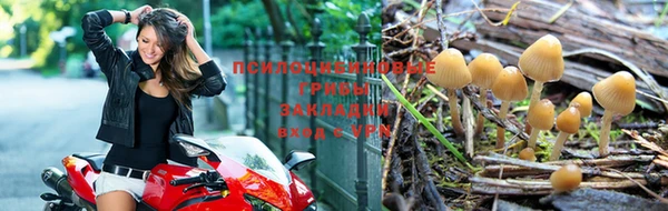 экстази Магадан
