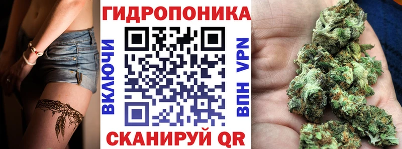 Конопля OG Kush  Усолье 
